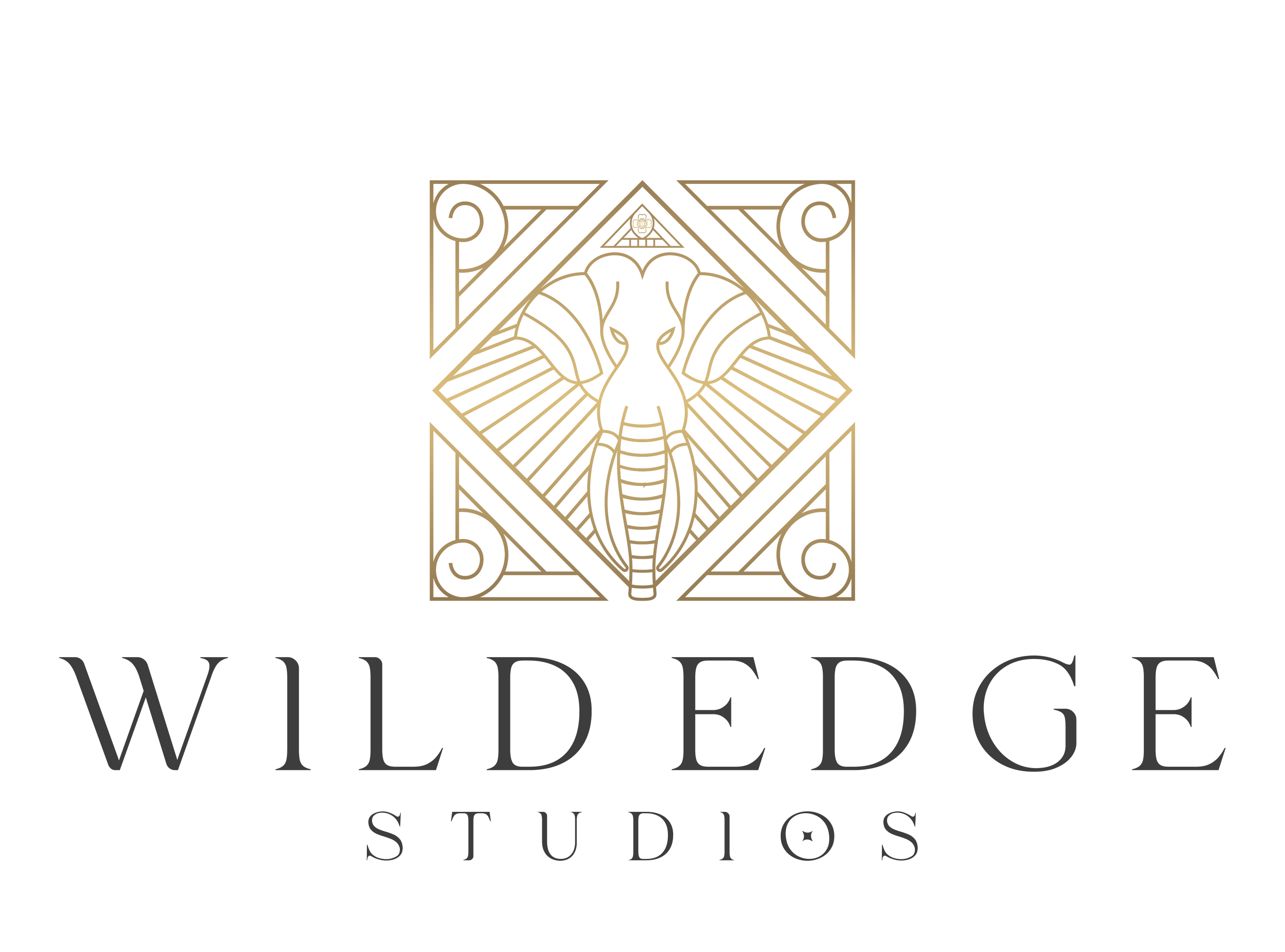 Wild Edge Studios